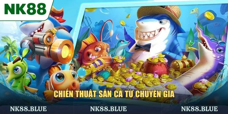 Chiến thuật săn cá từ chuyên gia