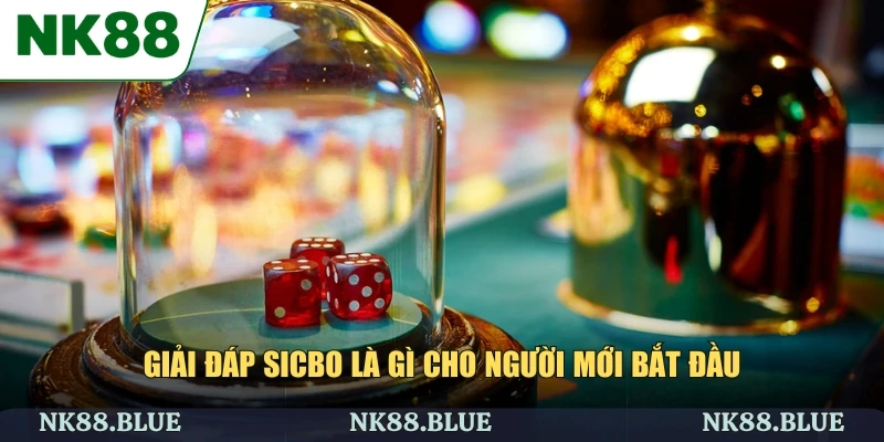 Giải đáp sicbo là gì cho người mới bắt đầu